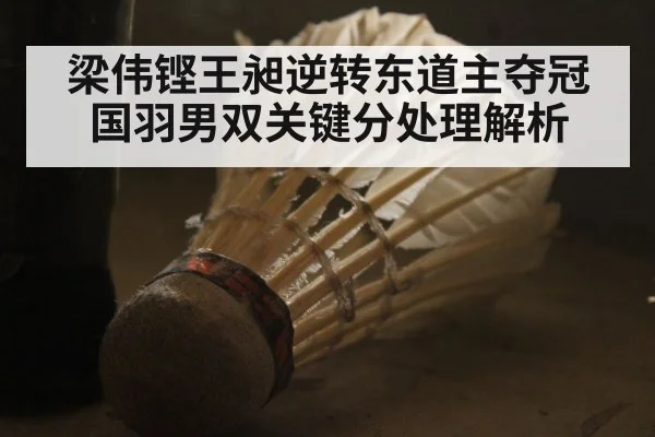 梁伟铿王昶逆转东道主夺冠 国羽男双关键分处理解析